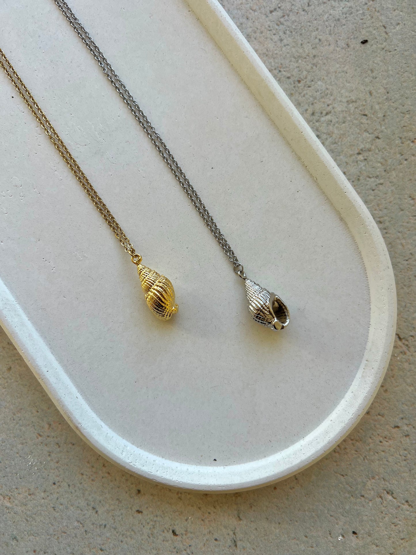 Seashells