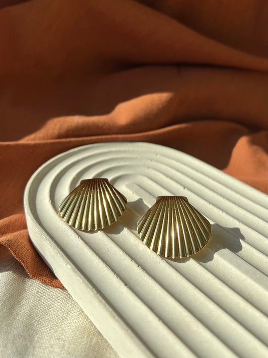 Seashell earrings