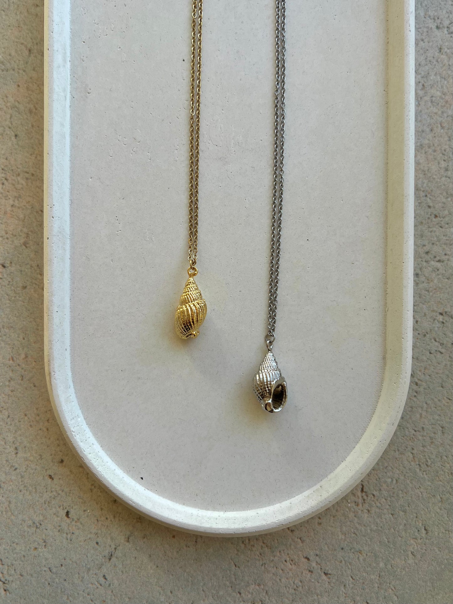 Seashells