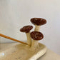 Mushroom Haven - Incense stick holder